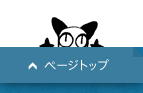 ページトップ